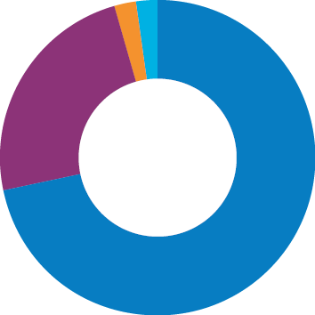 Audit outcomes pie chart